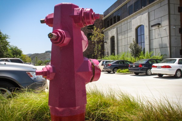 Stone Brewery Hydrant