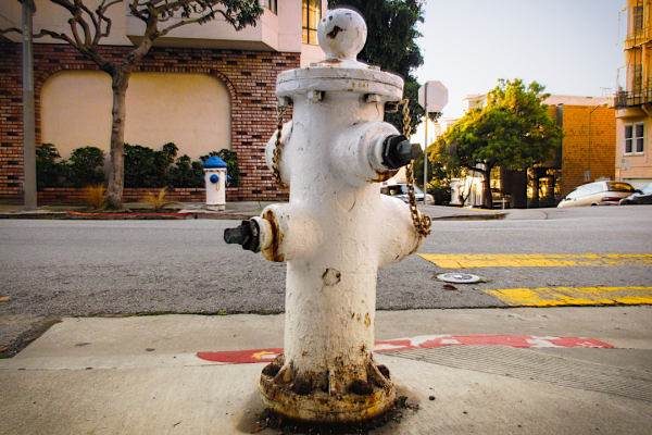 San Francisco: A Hydrant Playground