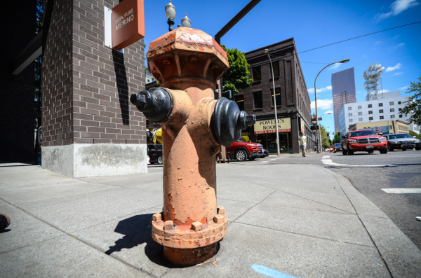 Powell's Hydrant, Portland, OR