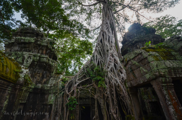 David Olimpio Photography Angkor Wat