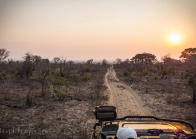 David Olimpio Photography: South Africa Safari